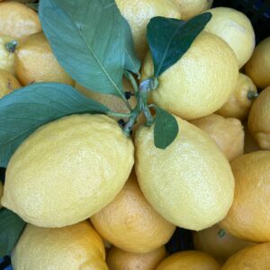 Lemon - 500g (approx. 3 – 4 lemons)