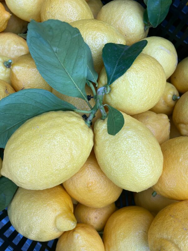 Lemon - 500g (approx. 3 – 4 lemons)