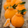 Sumo mandarin - Kg
