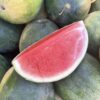 Watermelon - Seedless - Half (approx. 4.5-5.5kg)