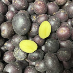 Potato - Chat Purple Pearl - 500g