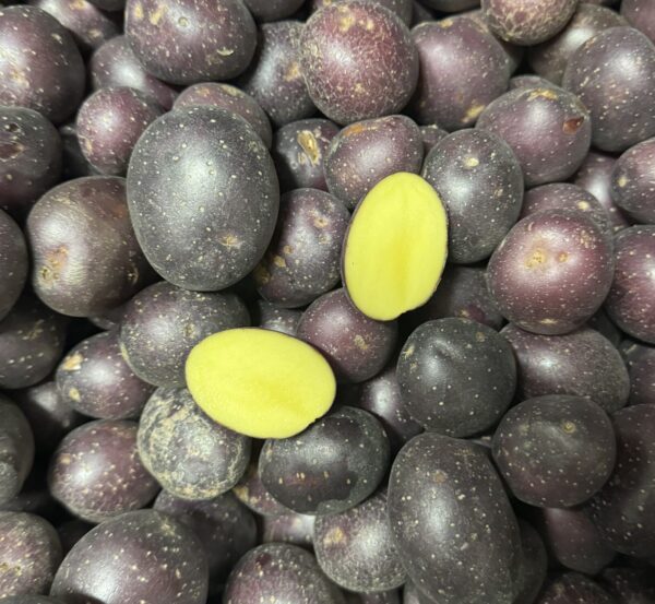 Potato - Chat Purple Pearl - 500g