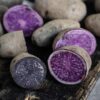 Potatoes - Purple Congo - 500g