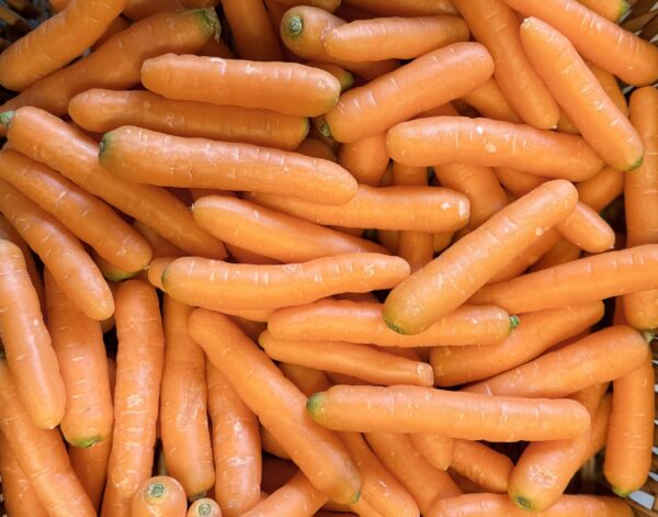 Carrot - Baby snacking - 250g