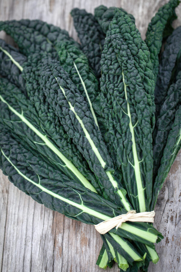 Cavalo Nero - Bunch
