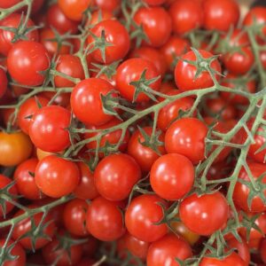 Tomato - Baby Roma on vine - SPECIAL - 500g