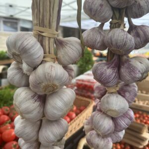 Hanging garlic (New Season; Farm grown; approx. 20 L heads) - Bunch