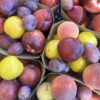 Stone fruit mix - Punnet (approx. 1.2kg)