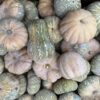 Pumpkin - Jap x Butternut (Homegrown) - Whole (approx. 1.5-2kg)