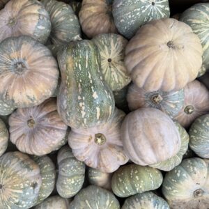 Pumpkin - Jap x Butternut (Homegrown) - Whole (approx. 1.5-2kg)
