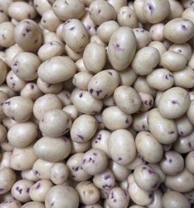 Potato - Kestrel (New Season) - 1kg (size S)