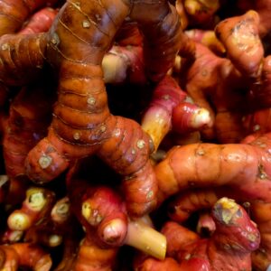 Galangal - 200g